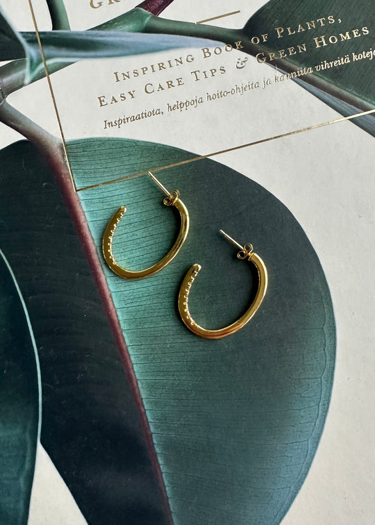 Sui Ava Eline Oval Hoops Gold Champagne