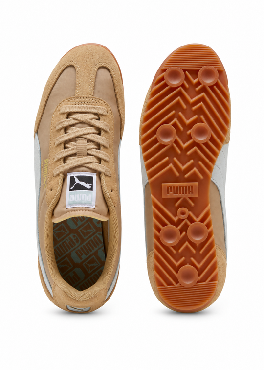 Puma Arizona sand dune