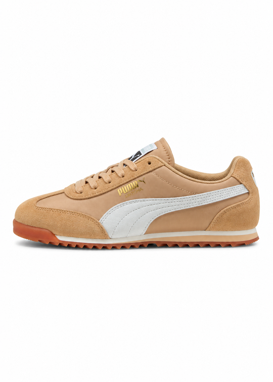 Puma Arizona sand dune