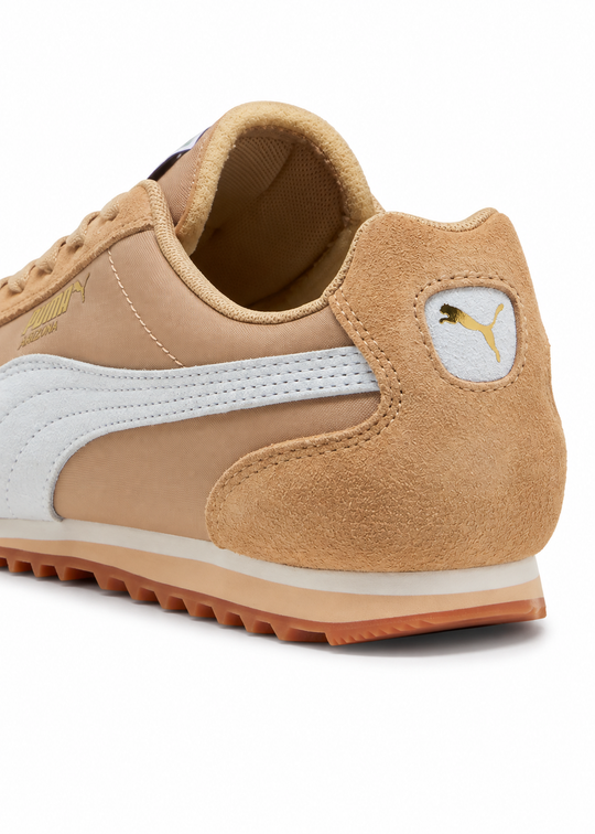 Puma Arizona sand dune