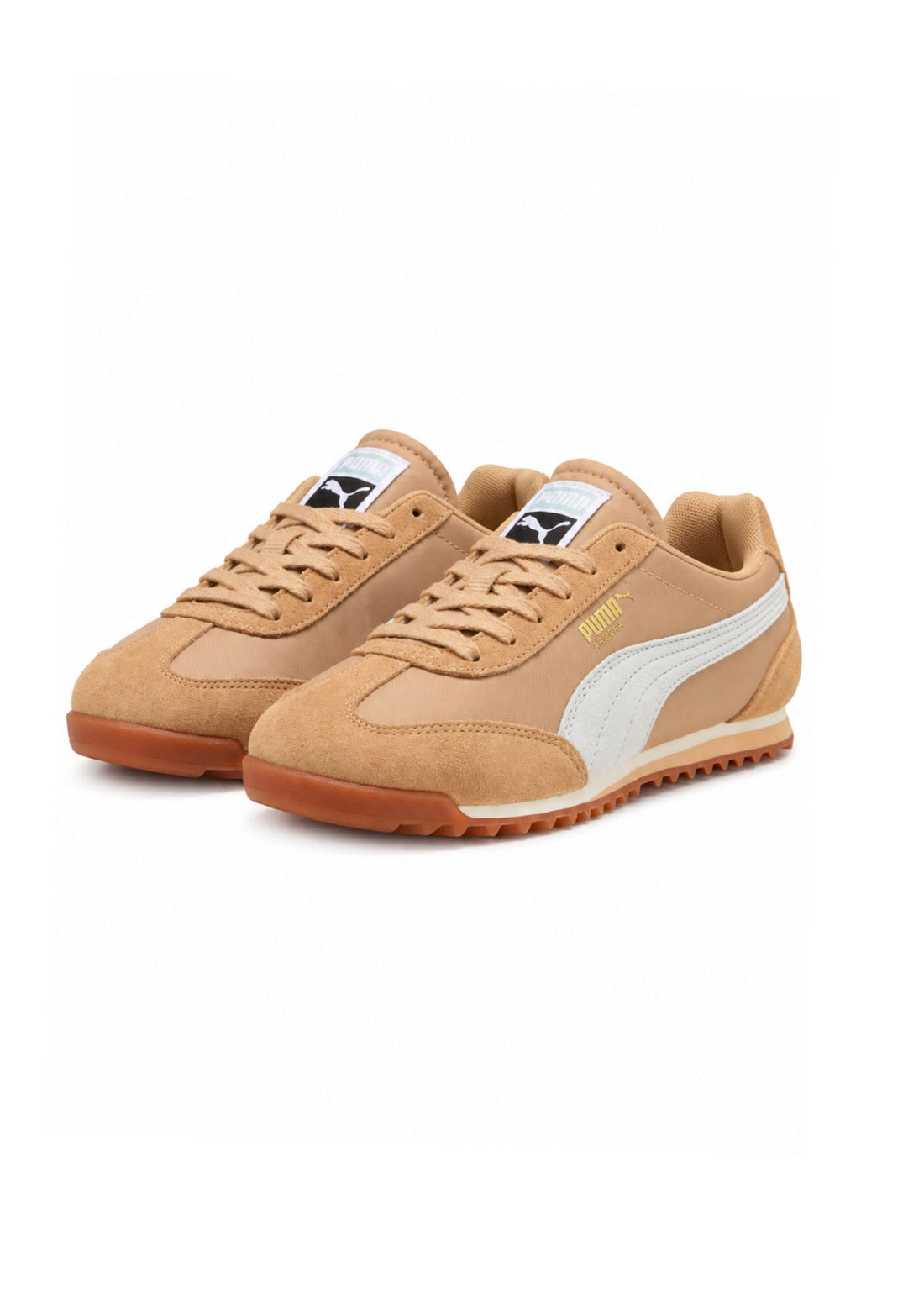 Puma Arizona sand dune ny