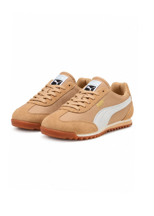Puma Arizona sand dune
