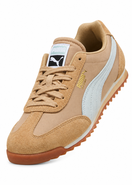 Puma Arizona sand dune
