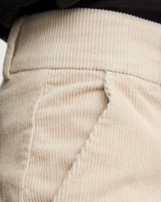 Cinq unités Clarafv Winter White Chiruroy