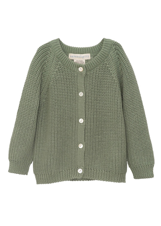 Serendipity Cardigan Surf