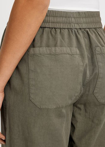 Cinq unités Agnesfv 829 Smokey Olive