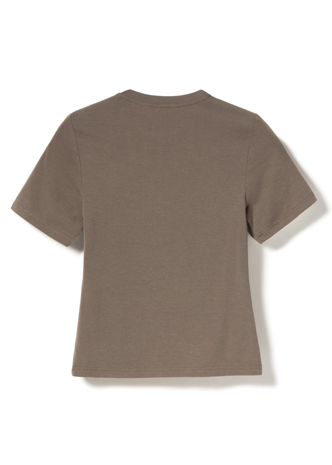 Noella N-Julia T-shirt Timber Wolf
